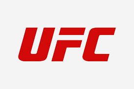 UFC : une nouvelle génération prend le contrôle
